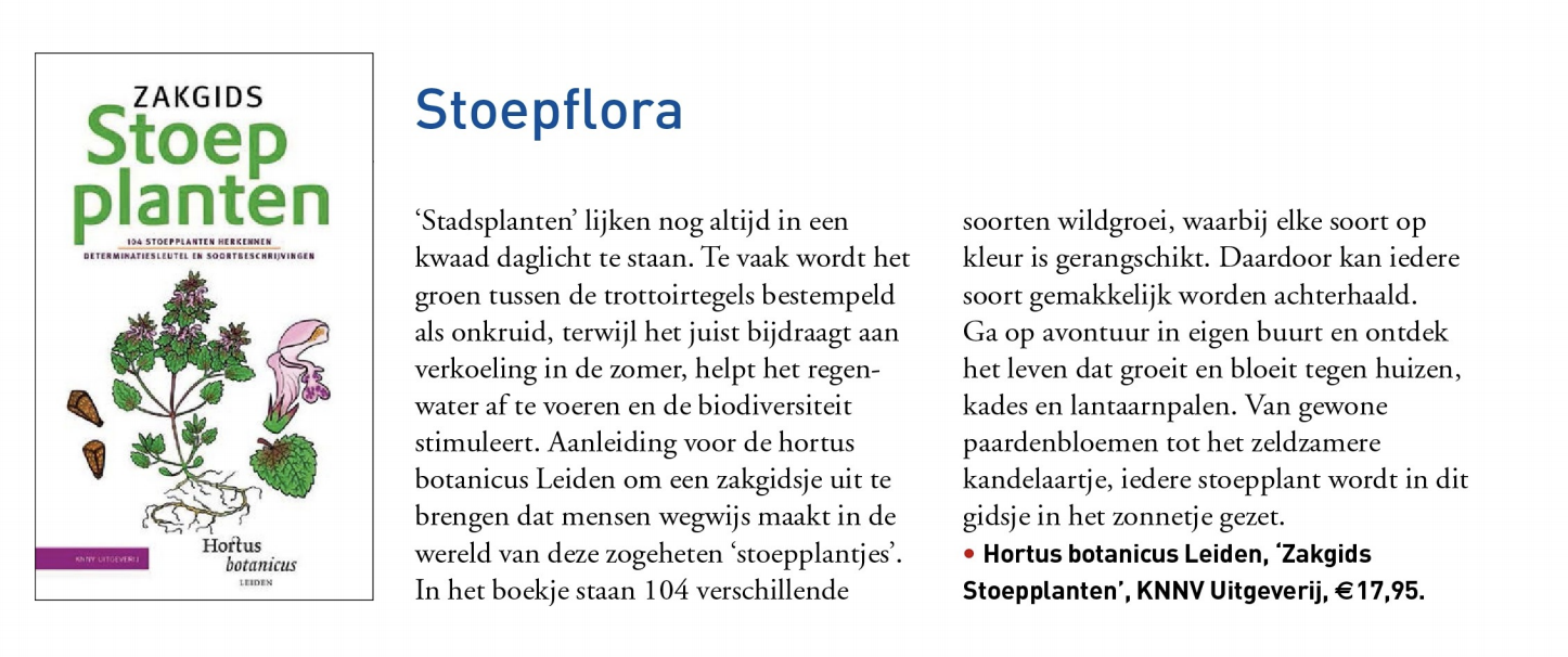 Afb hollands glorie juni Afb hollands glorie juni