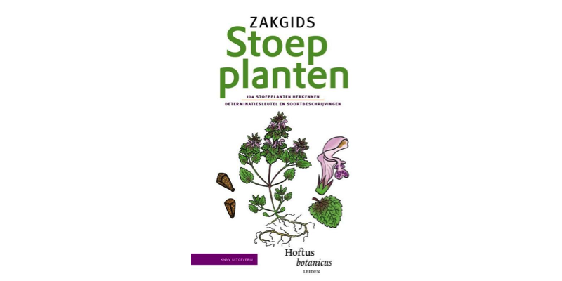 Banner zakgids stoepplanten Banner zakgids stoepplanten