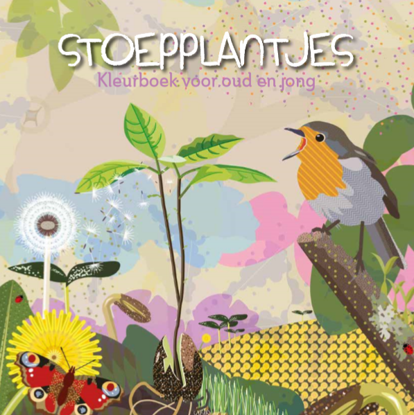 Stoepplantjes kleurboek
