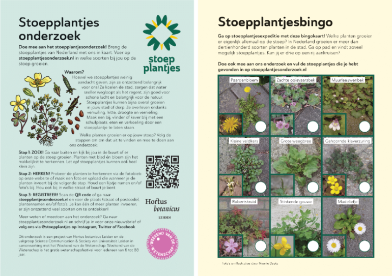 Stoepplantjesbingo Stoepplantjesbingo