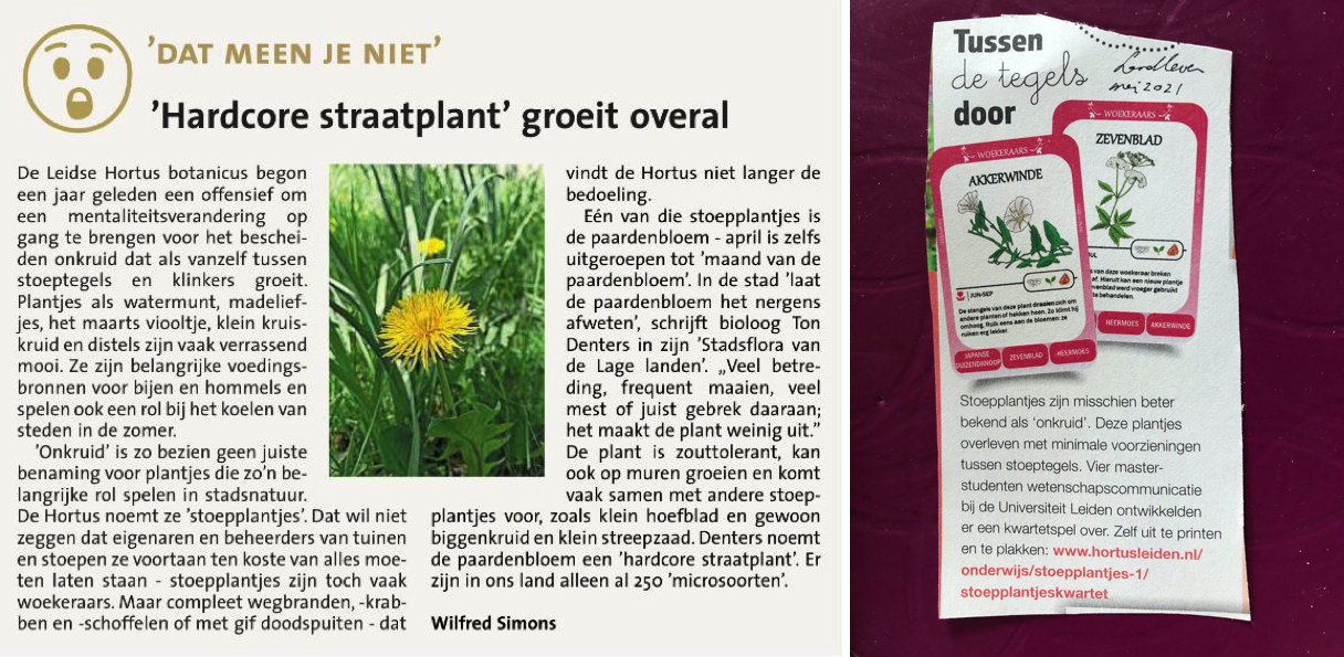 Stoepplantjesnieuwsmei Stoepplantjesnieuwsmei