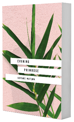 Boek leeskring Primrose