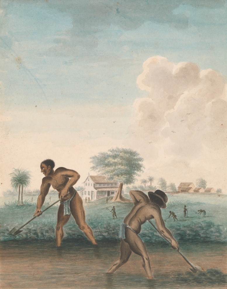 Rijksmuseum de slavernij
