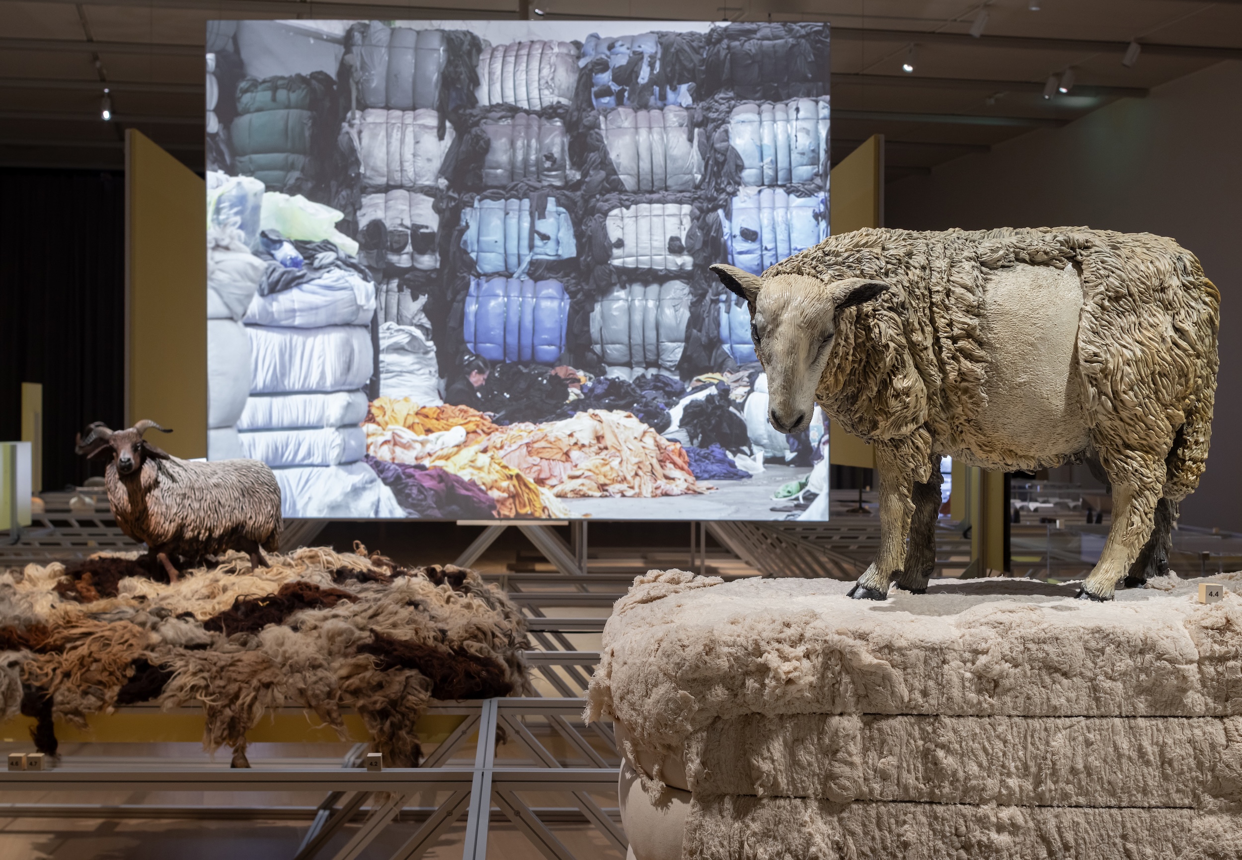 Stedelijk museum Oltre Terra PT