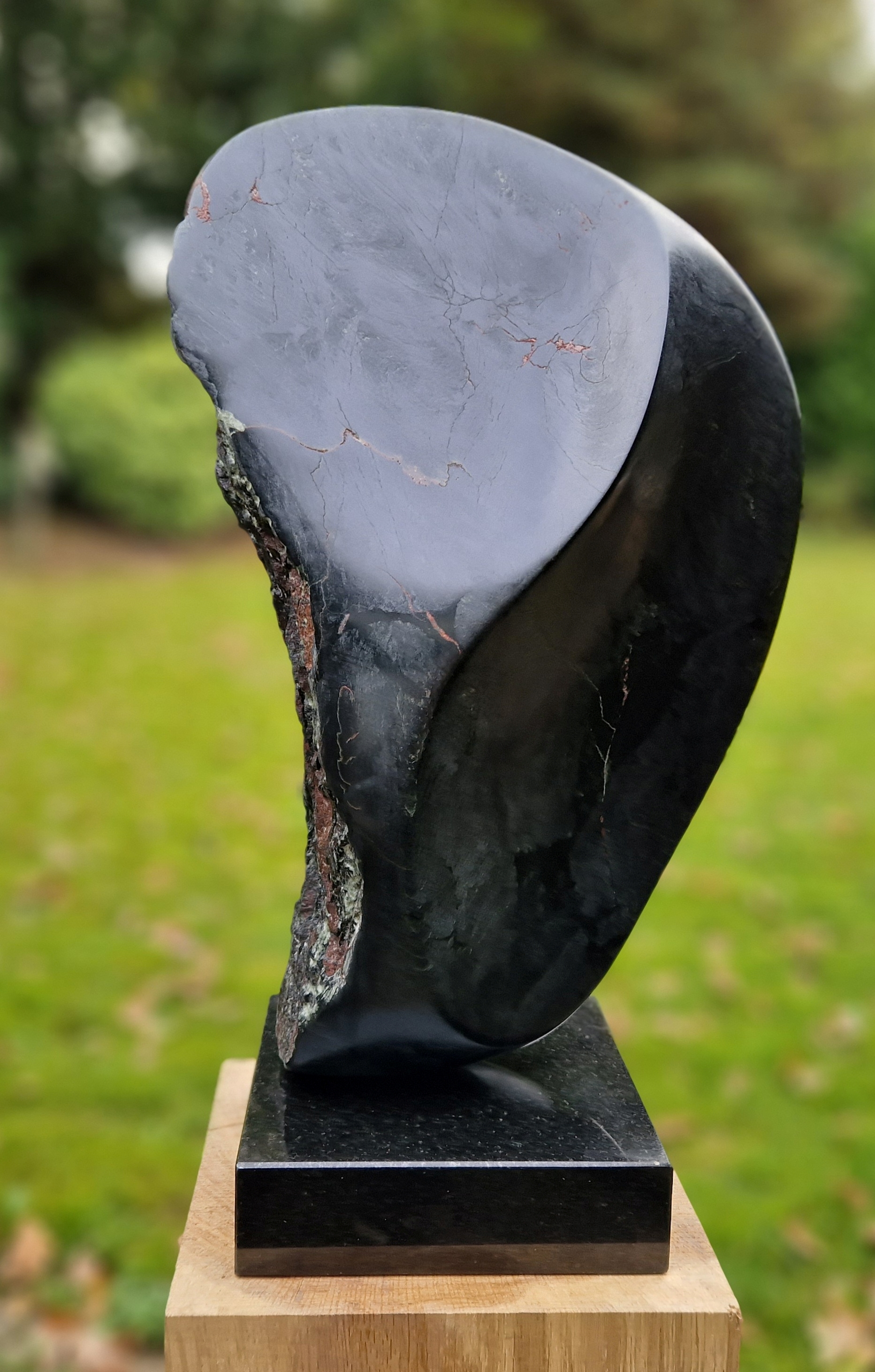 Abstract HettyVerweij