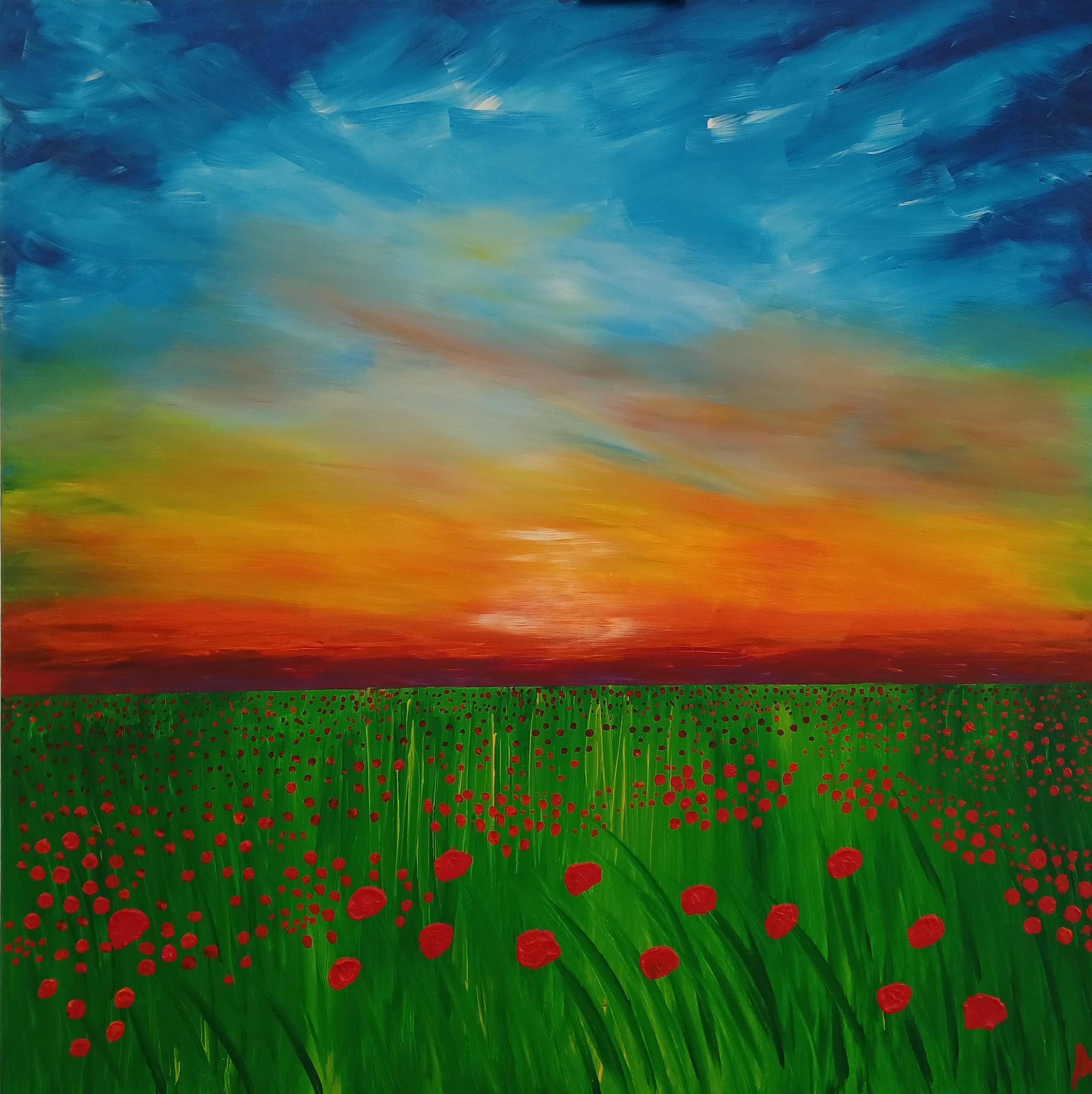 Colorfieldpoppy AnnemiekeWijsman