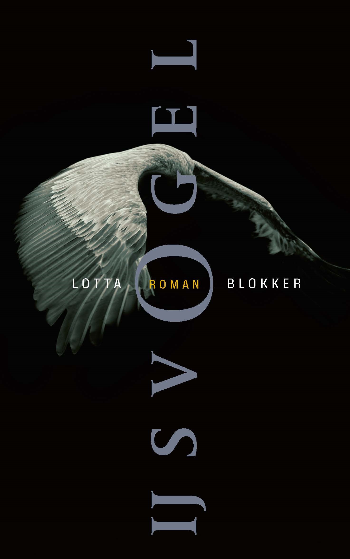Cover Lotta Ijsvogel
