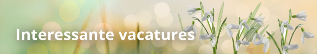 Interessante vacatures voorjaar feb maart