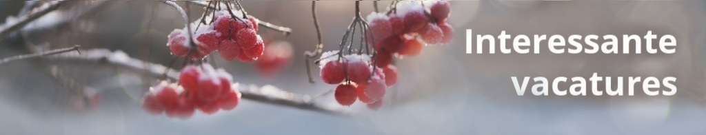 Interessante vacatures winter
