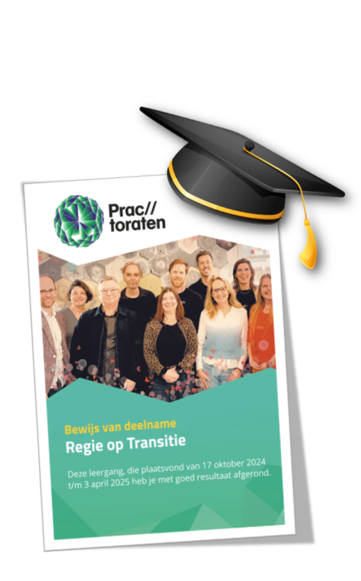 Leergang Regie op Transitie