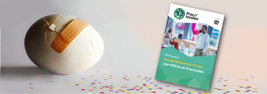 Succesfactoren whitepaper nwsbrief