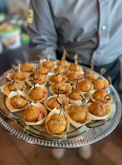 Update vanuit practoraat Eiwittransitie