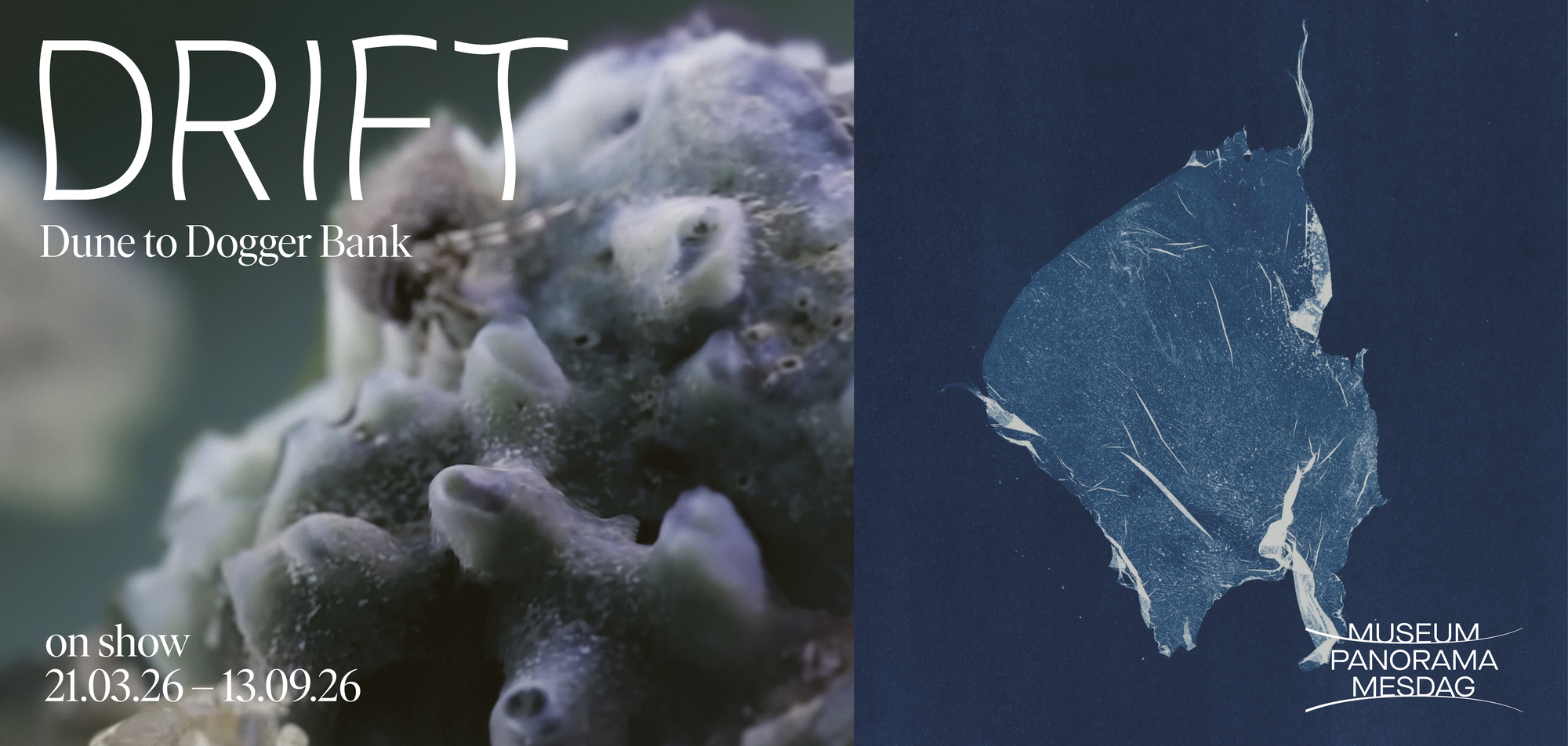 DRIFT Duin tot Doggersbank