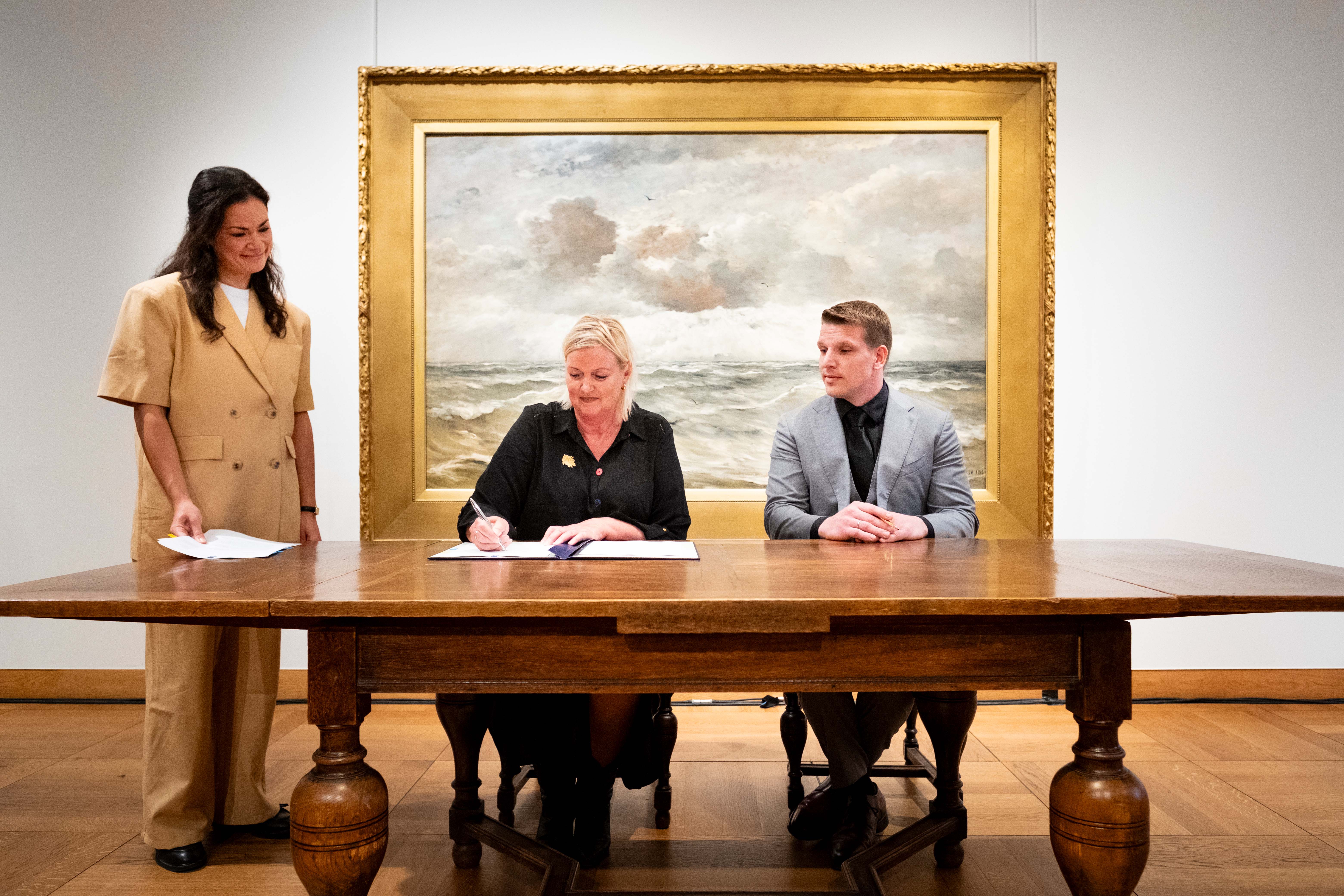 DVD Panorama Mesdag NB