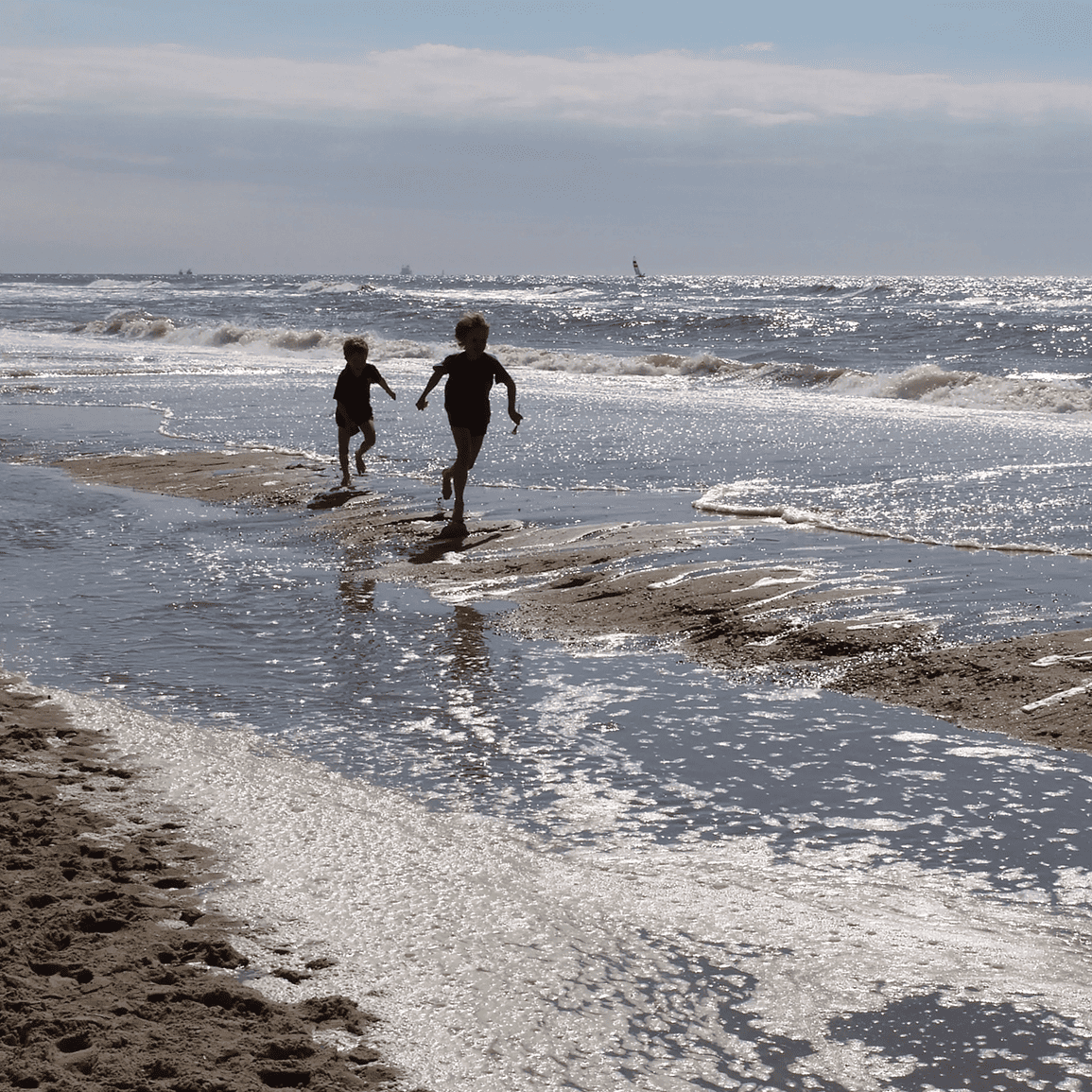 Dag van de Duinen