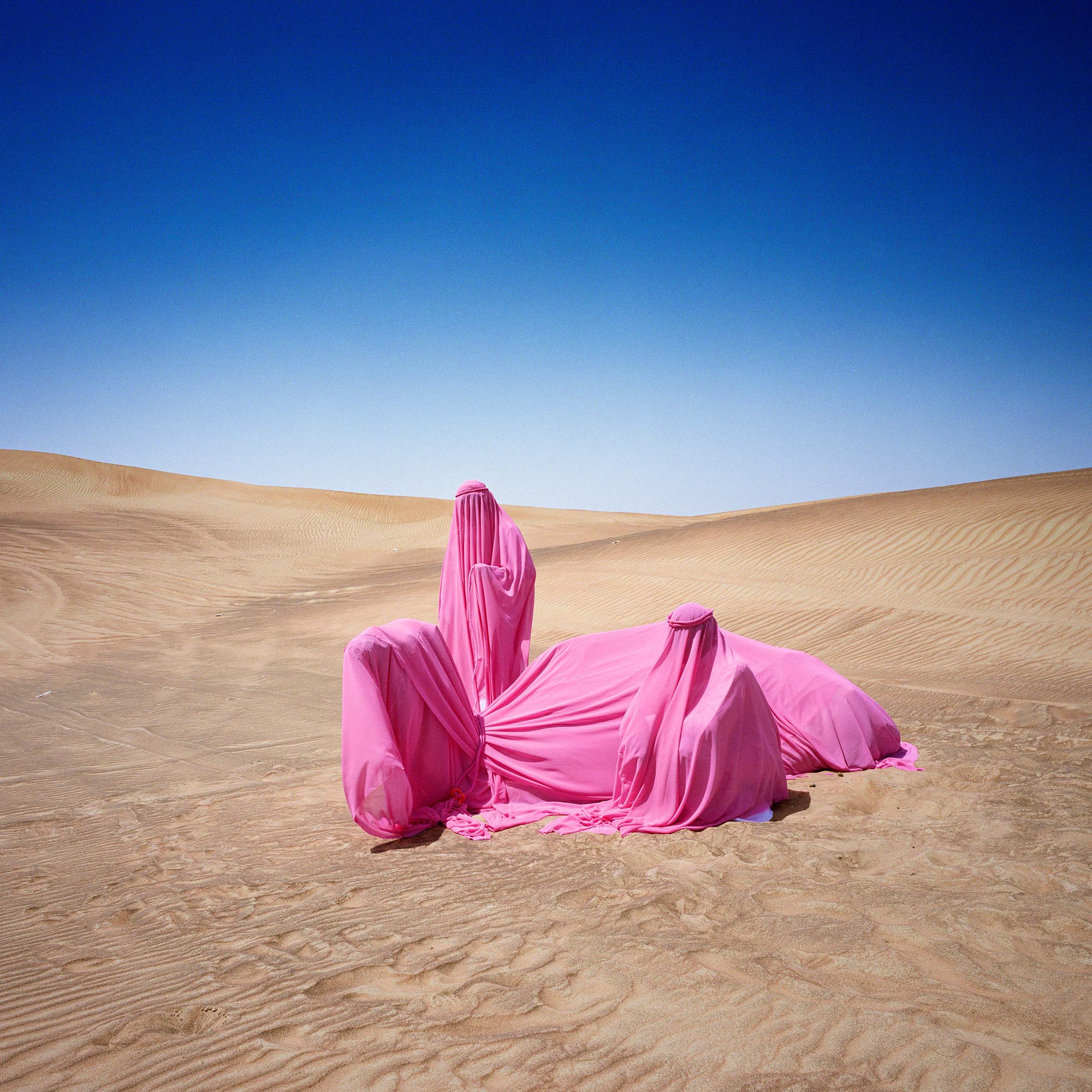 NBStillLifeWithCamel