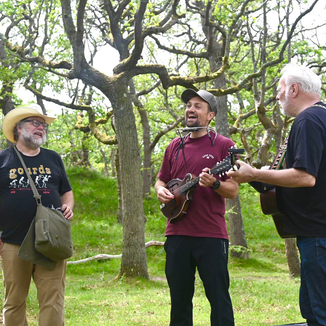 NB Cultuurwandelingen