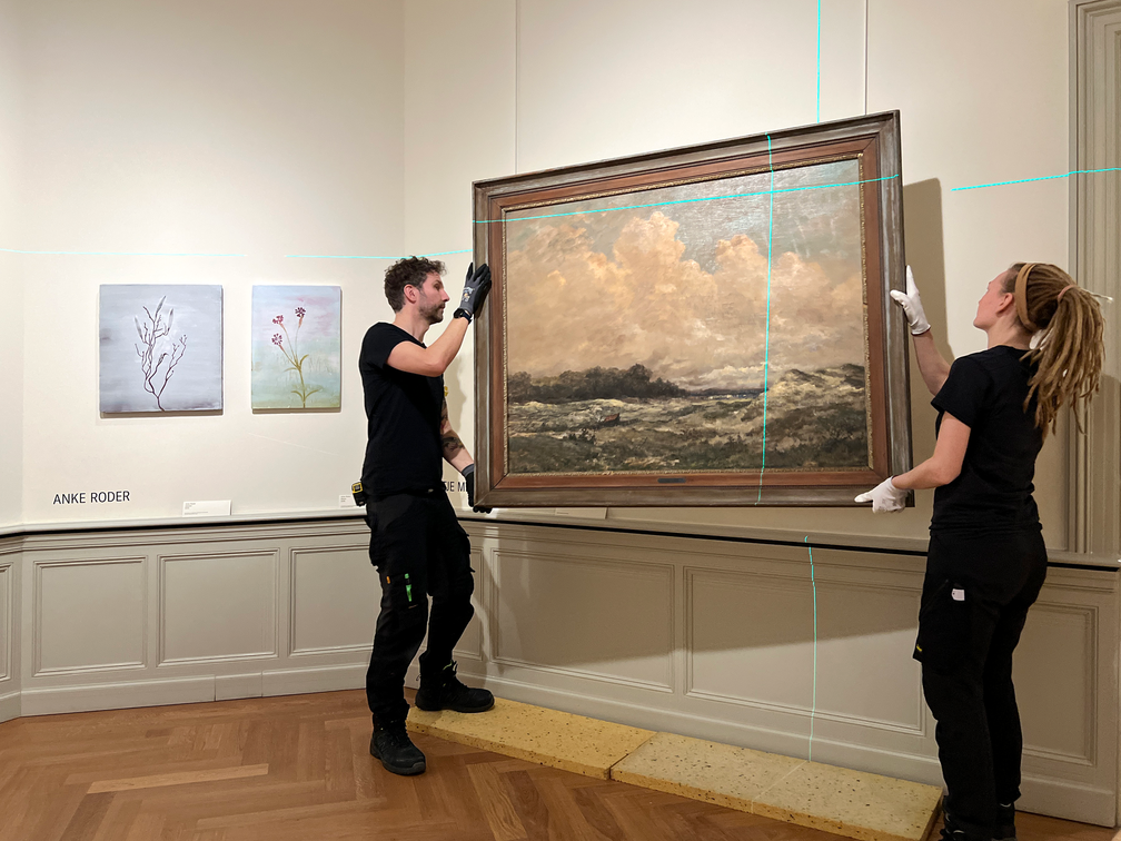 Opbouw DRIFT Duin tot Doggersbank