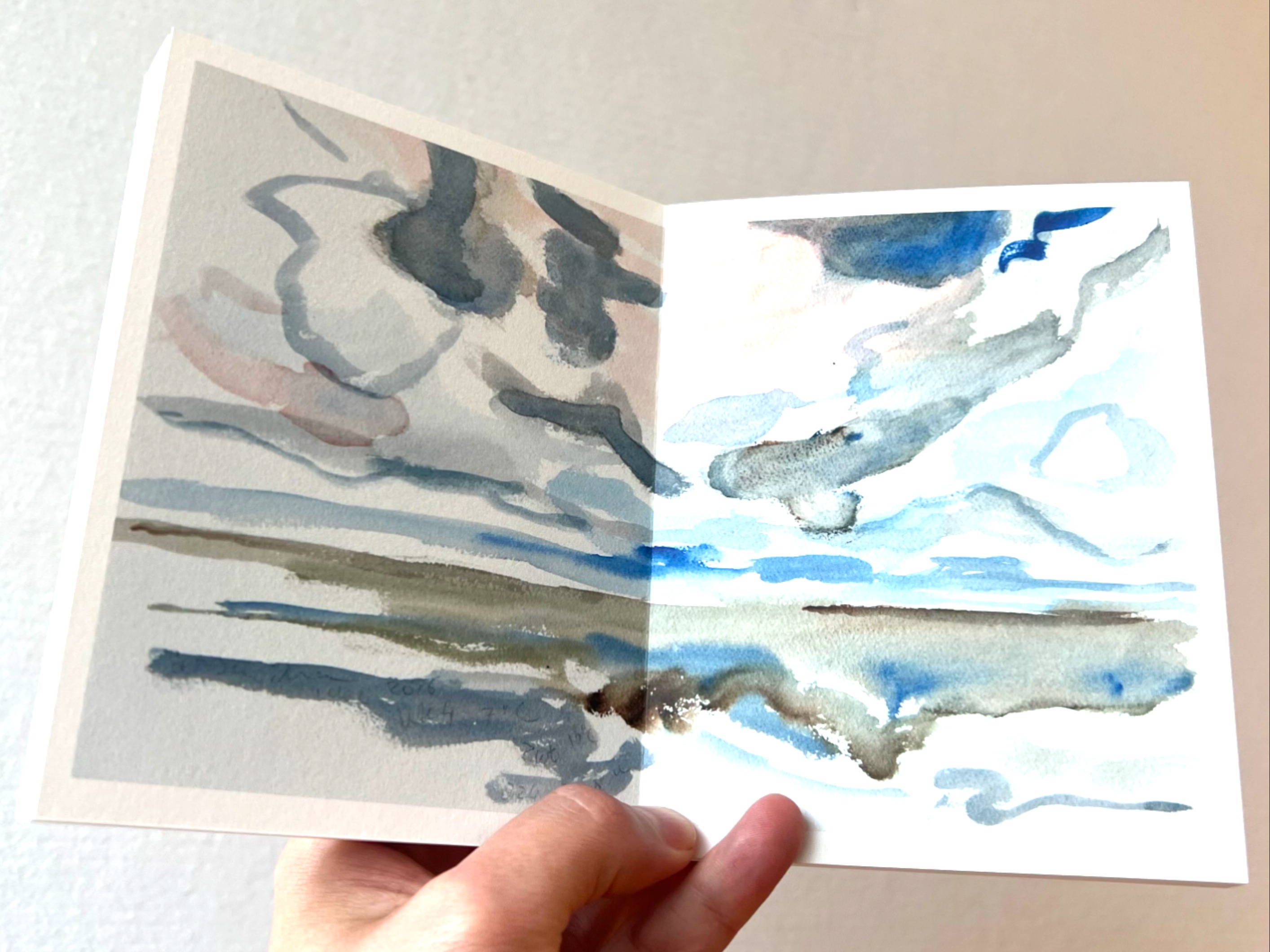 Boek cassandra van veen