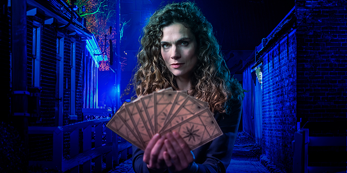 Zuiderzeelicht banner