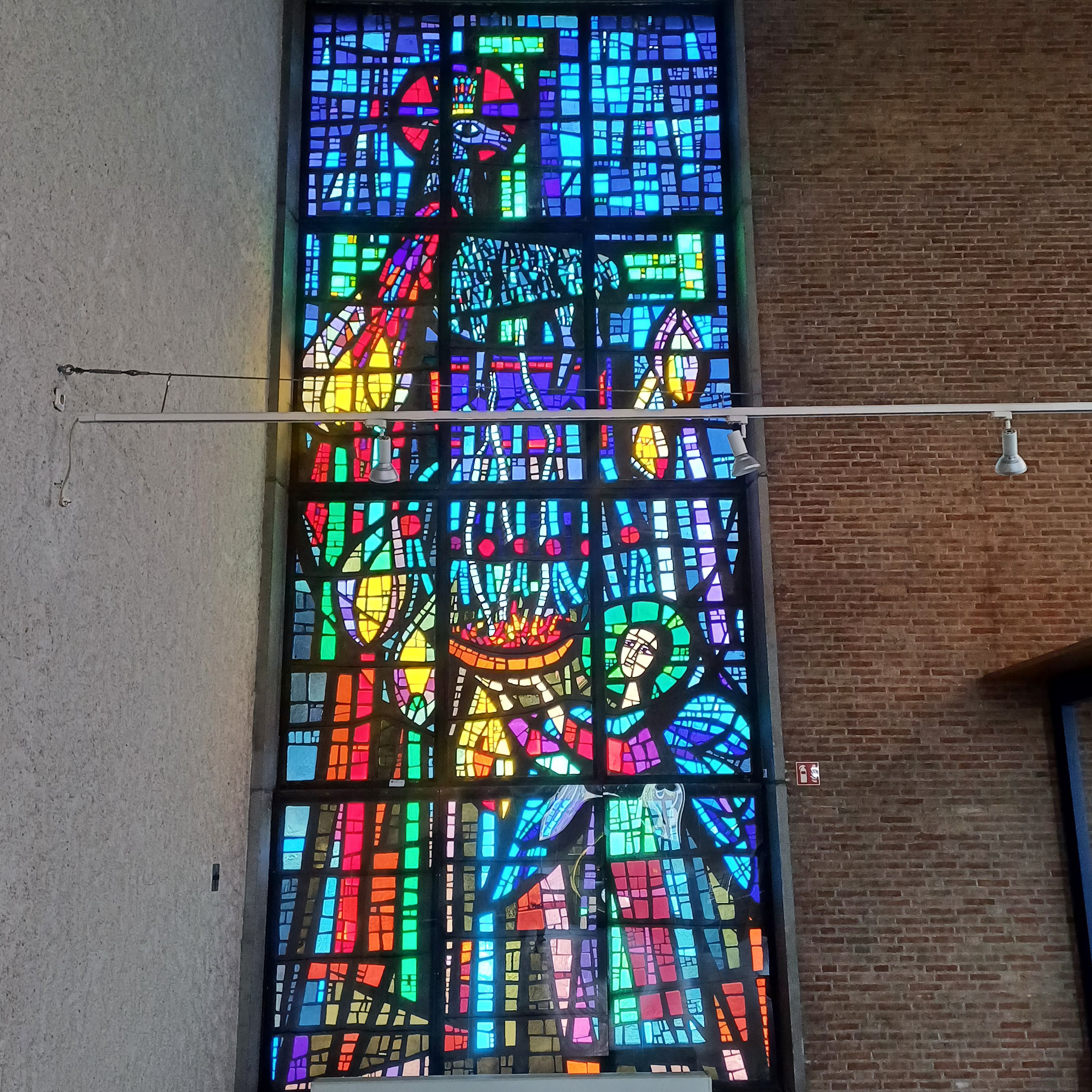 Daan Wildschut IJmuiden