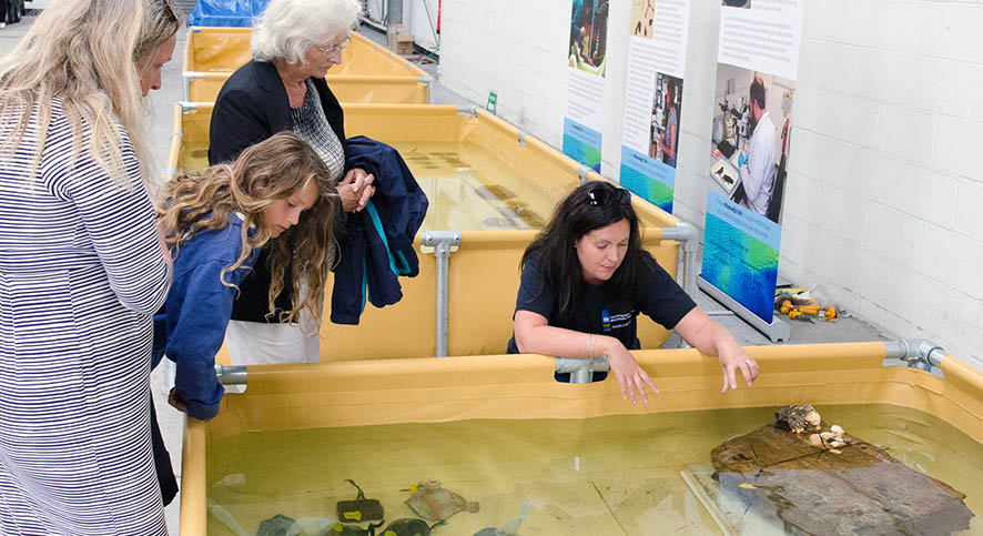 #Rooswijk1740 project, RCE and Historic England #Rooswijk1740 project, RCE and Historic England