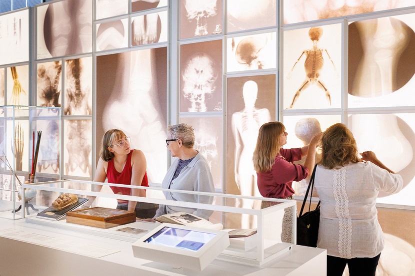 Medisch erfgoed in Rijksmuseum Boerhave