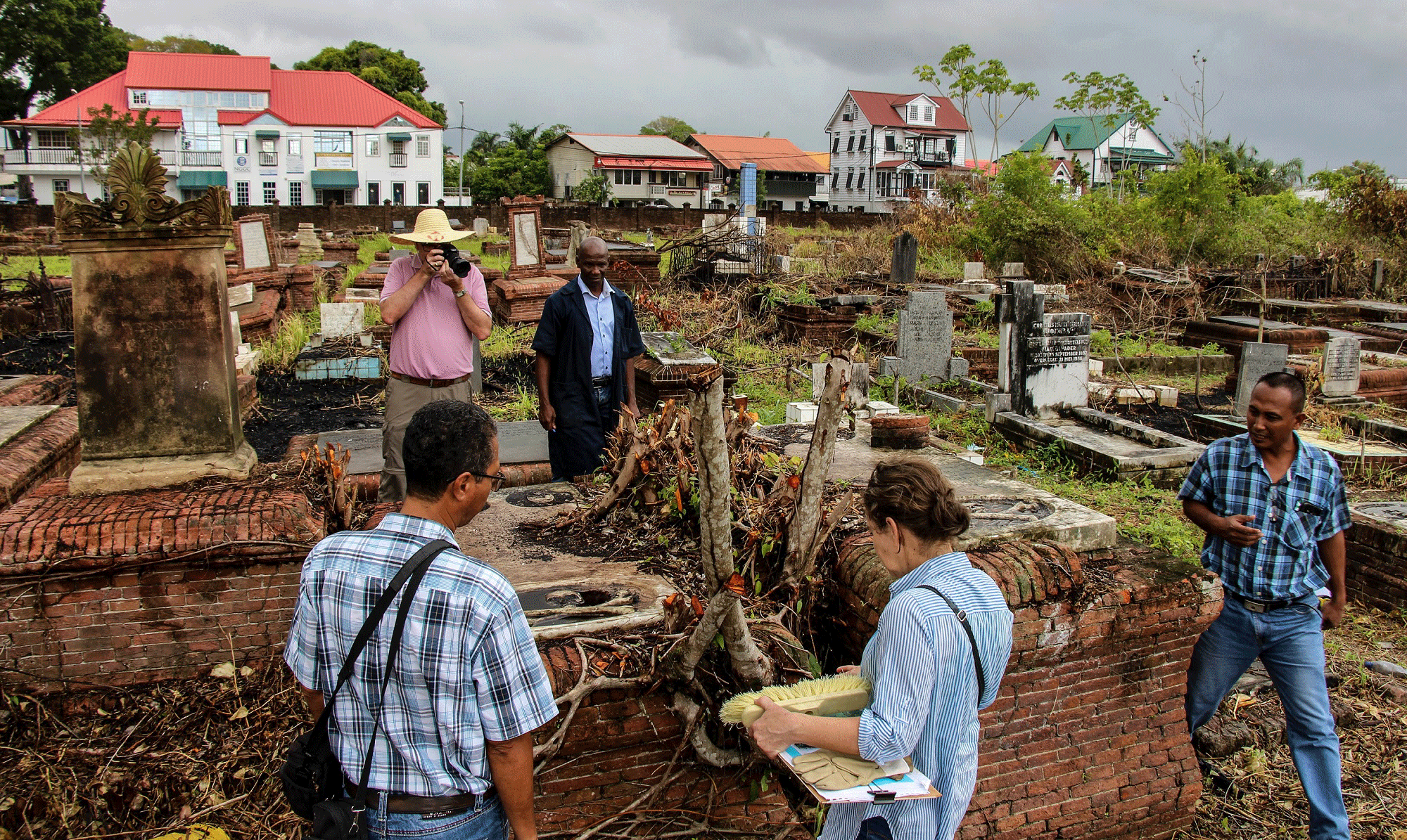 Work in progress in 2017 at the Nieuwe Oranjetuin in Paramaribo, Suriname (photo: René ten Dam). Work in progress in 2017 at the Nieuwe Oranjetuin in Paramaribo, Suriname (photo: René ten Dam).
