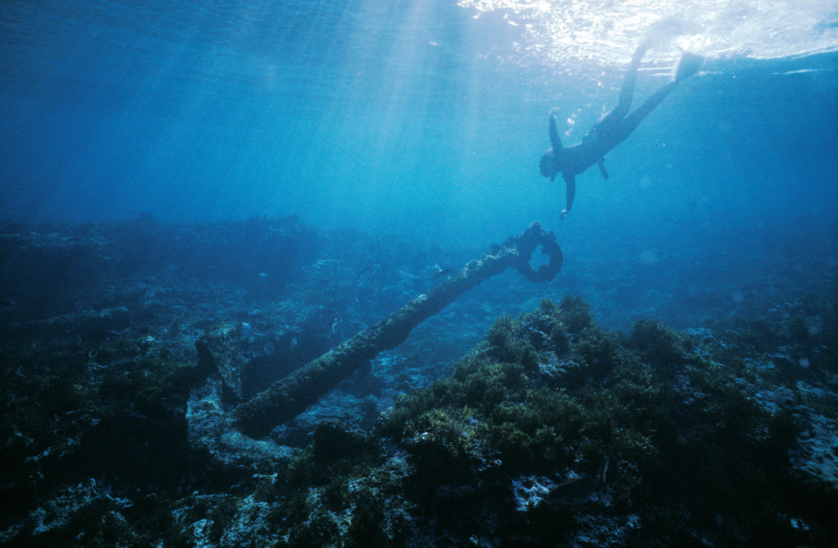 Anchor from the wreck of the Batavia. Photo by Patrick Baker, Western Australian Museum.