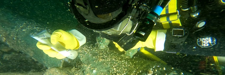 Diver holds a tube near a cannon