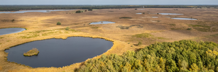 Ruinen Dwingelderveld