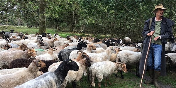 Meer op de website van NBTC Meer op de website van NBTC