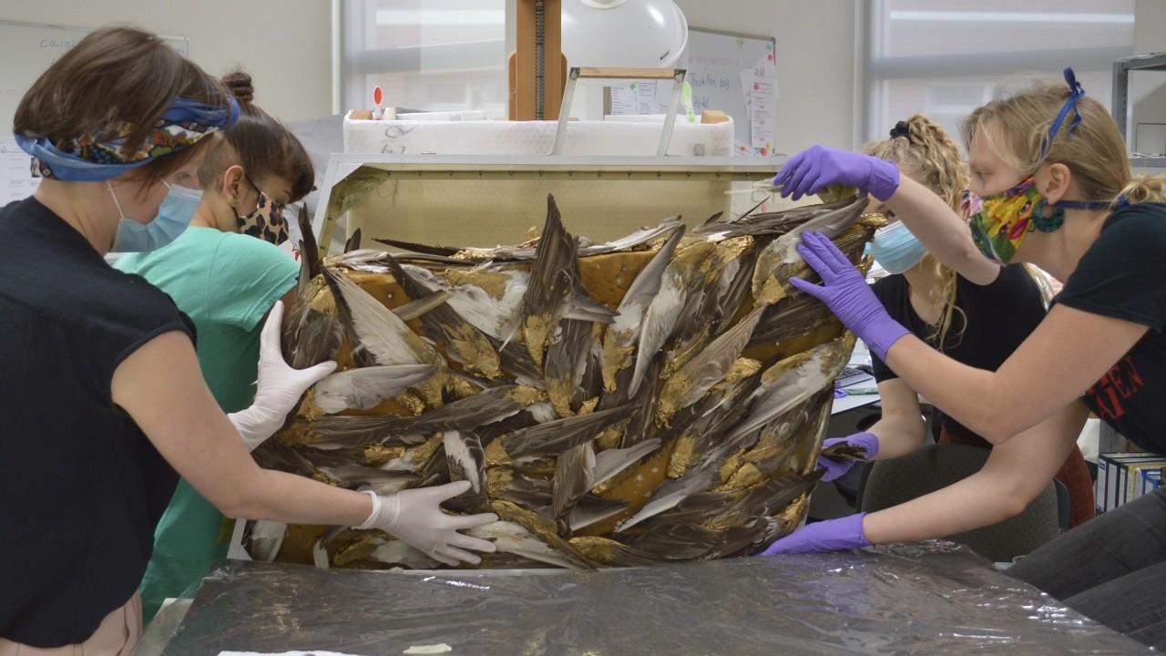 UvA Conservation studenten houden een transparante koffer vast met veren erin