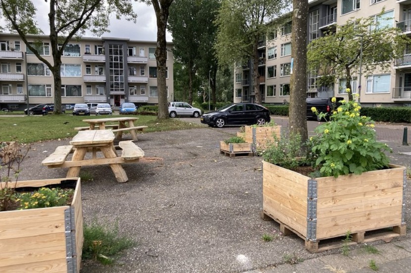 Wielwijk Dordrecht Teun van den Ende