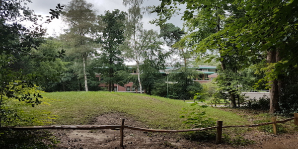 Programma en aanmelden Programma en aanmelden